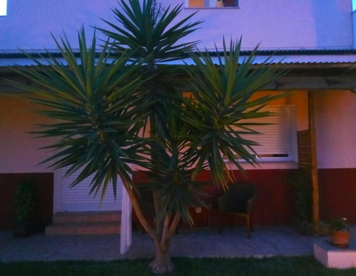 Casablanca El Petit Hotel Deltebre Kültér fotó