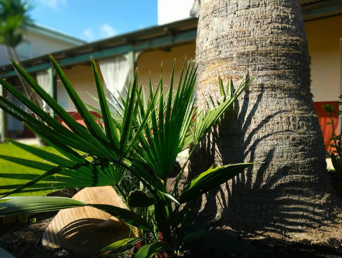 Casablanca El Petit Hotel Deltebre Kültér fotó