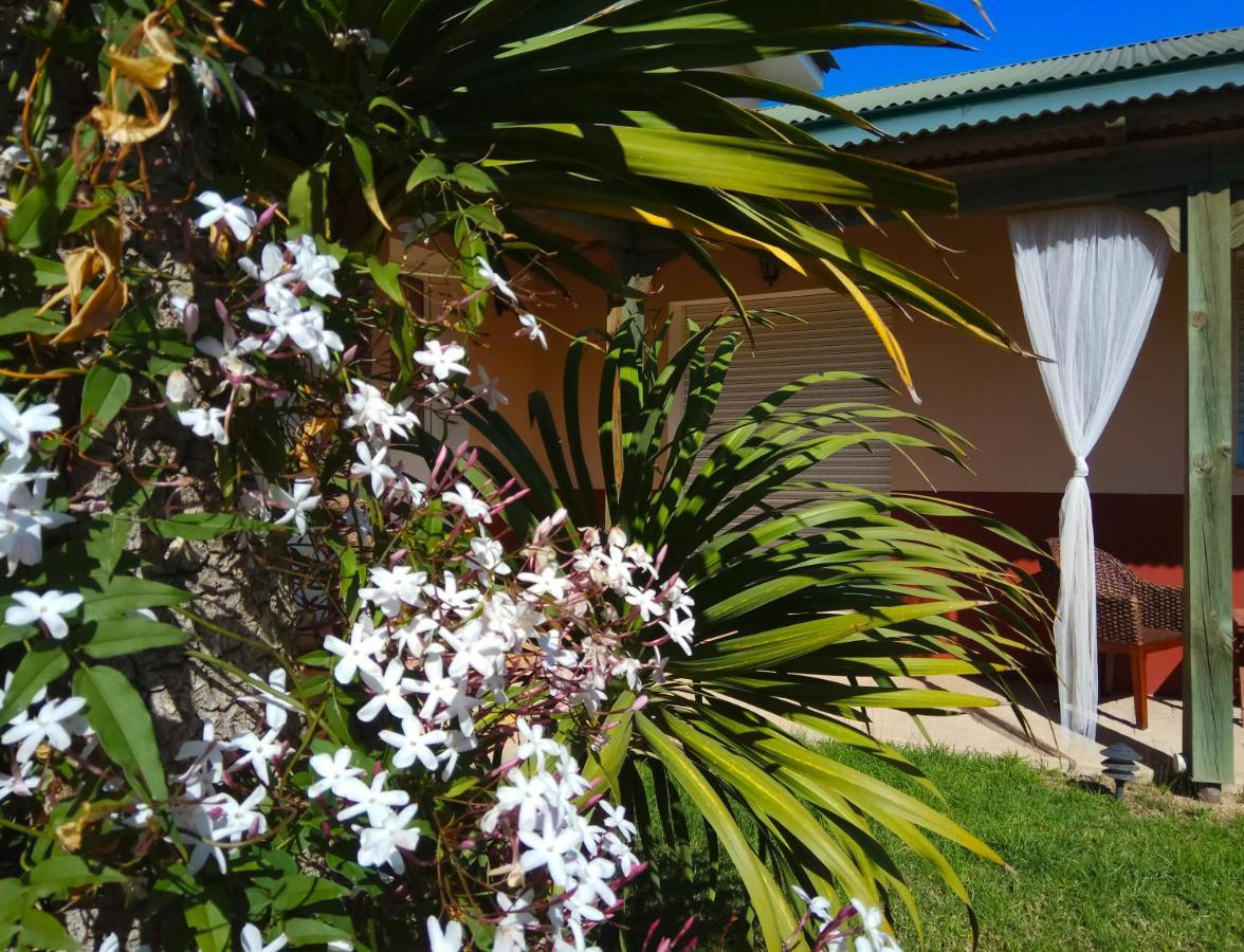 Casablanca El Petit Hotel Deltebre Kültér fotó